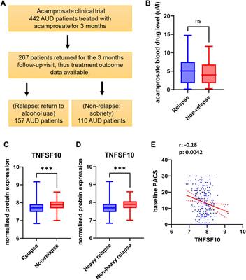 Plasma TNFSF10 levels associated with acamprosate treatment response in patients with alcohol use disorder